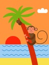 Monkey on a palm tree Royalty Free Stock Photo