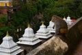 Monkey at Pashupatinath temple, Khatmandu