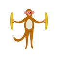 Monkey Playing Cymbals, Cute Cartoon Animal Musician Character Playing Musical Instrument Vector Illustration