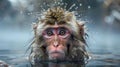 a monkey playing in a hot spring of water. Monkey bathing in hot water Royalty Free Stock Photo