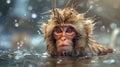 a monkey playing in a hot spring of water. Monkey bathing in hot water Royalty Free Stock Photo