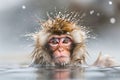 a monkey playing in a hot spring of water. Monkey bathing in hot water Royalty Free Stock Photo