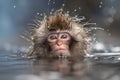 a monkey playing in a hot spring of water. Monkey bathing in hot water Royalty Free Stock Photo