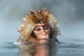 a monkey playing in a hot spring of water. Monkey bathing in hot water Royalty Free Stock Photo