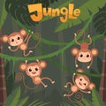 Monkey playing. Little wild animals sitting and eating banana on jungle tree vector chimpanzee cartoon background