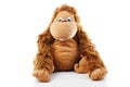 Monkey plush toy in studio. brown monkey,cute monkey,fake monkey,plush monkey,toy monkey,chimpanzee,jocko,gorilla