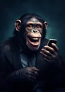 Monkey portrait animal africa primate african ape wild black face wildlife Royalty Free Stock Photo