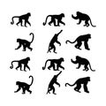 monkey pose illustration pack Royalty Free Stock Photo
