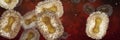 Monkeypox viruses closeup, contagious microscopic pathogen, infectious zoonotic disease, background banner format 3d biology