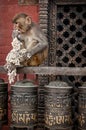 Monkey on prayer wheels in Nepal Royalty Free Stock Photo