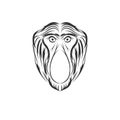 Monkey proboscis illustration designs