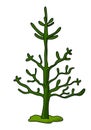 Monkey Puzzle Tree illustration vector Royalty Free Stock Photo