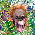 Monkey in the rainforest. watercolor tropical nature illustration. wildlife.