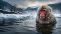 A monkey relaxes in a snowy hot spring, surrounded by a serene winter landscape Royalty Free Stock Photo