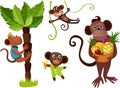 Monkey set Royalty Free Stock Photo