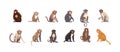 Monkey set flat cartoon isolated on white background. Vector isolated illustration Royalty Free Stock Photo