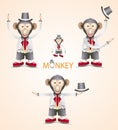 Monkey set full element vector design Royalty Free Stock Photo