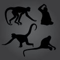 Monkey shadows silhouette set Royalty Free Stock Photo