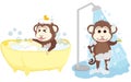 Monkey shower and bathe at bathroom. Royalty Free Stock Photo