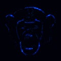 Monkey silhouette of blue lights