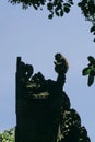 Monkey silhouette on top of Balinese Temple Gate Royalty Free Stock Photo