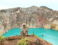 Monkey sitting on edge of crater with lake Tin on Kelimutu