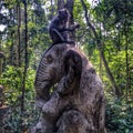 Monkey sitting on elephant
