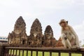 Monkey sitting in front of Wat Phra Prang Sam Yot temple, Lopburi, Thailand.