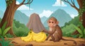 Monkey Sitting on Ground in Jungle or Forest Environment Royalty Free Stock Photo