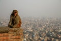 Monkey sitting with Kathmadu as backdrop Royalty Free Stock Photo