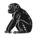 Monkey Sitting Pose Silhouette Royalty Free Stock Photo