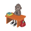Monkey sitting at a table
