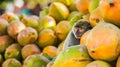 Monkey Sitting on Top of Fruit Royalty Free Stock Photo