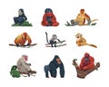 Monkey species. Cute tropical apes flat cartoon style, colorful funny wildlife jungle primates, zoo exotic animals in