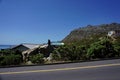 Monkey on a stone at the coastline in south africa near cape town