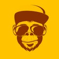 Monkey in sunglasses and a baseball cap on a bright background. Vector Royalty Free Stock Photo