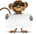 Monkey with sunglasses