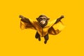 monkey in superhero cape over yellow background. Royalty Free Stock Photo