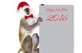 Monkey symbol 2016 sits