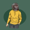 Monkey teen wearing hoodie with print, furry art illustration,