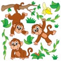 Monkey theme collection 1