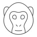 Monkey thin line icon, animal and zoo