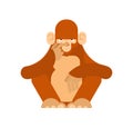 Monkey thinks isolated. Chimpanzee ponders vector illustration