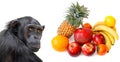 Monkey and tropical fruits Royalty Free Stock Photo