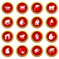 Monkey types icon red circle set