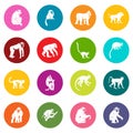 Monkey types icons many colors set