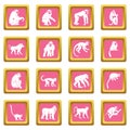 Monkey types icons pink