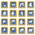 Monkey types icons set blue