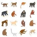 Monkey types icons set in flat style