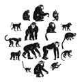 Monkey types icons set, simple style